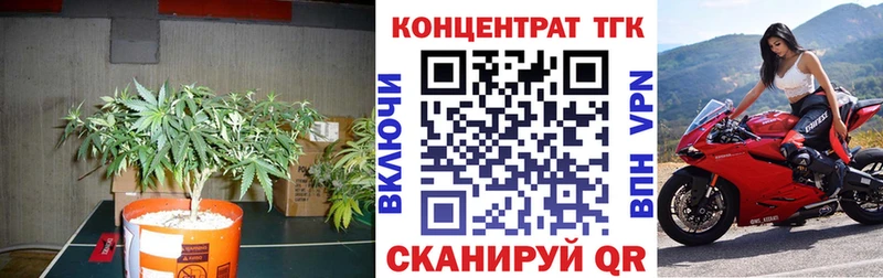 Дистиллят ТГК THC oil Ахтырский