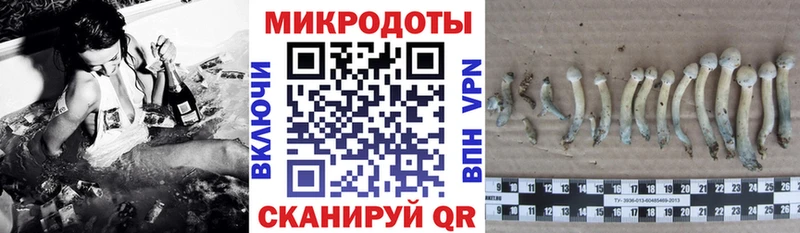 Галлюциногенные грибы мухоморы Ахтырский